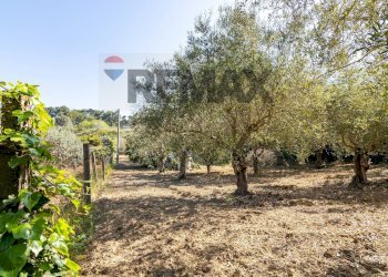 Giardino - Building land Via Giuseppe Garibaldi
24, Caltagirone - photo 4