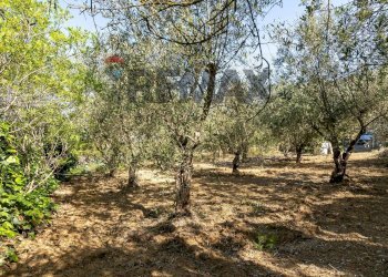 Giardino - Building land Via Giuseppe Garibaldi
24, Caltagirone - photo 6