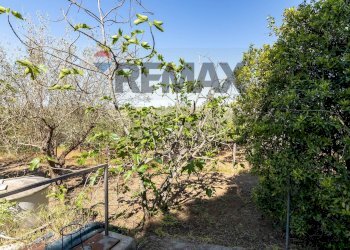 Giardino - Building land Via Giuseppe Garibaldi
24, Caltagirone - photo 8