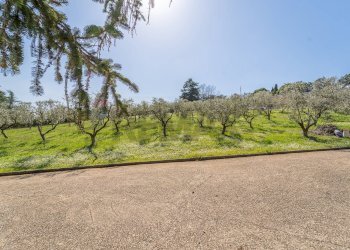 Giardino - Casa semi indipendente Via Fosso della Castelluccia
 
82, Roma - foto 40