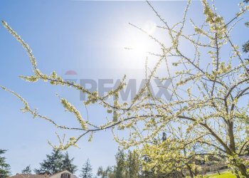 Edificio all\'aperto - Casa semi indipendente Via Fosso della Castelluccia
 
82, Roma - foto 41