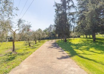 Giardino - Casa semi indipendente Via Fosso della Castelluccia
 
82, Roma - foto 42