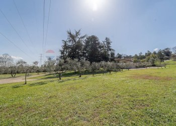 Giardino - Casa semi indipendente Via Fosso della Castelluccia
 
82, Roma - foto 43