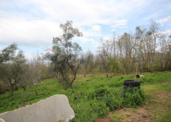 Giardino - Rustico VIA SANTA MARIA DELLE GRAZIE
 
18, Scandriglia - foto 15