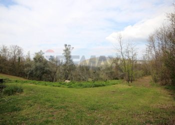 Giardino - Rustico VIA SANTA MARIA DELLE GRAZIE
 
18, Scandriglia - foto 18