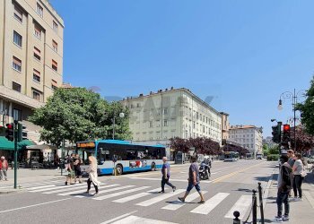 Edificio all\'aperto - Commercial Activity Trieste - photo 3