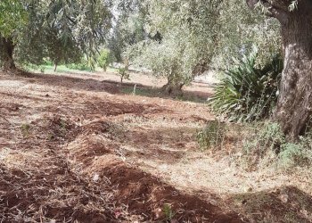 Casa indipendente contrada Morìo/Trombatore, Scicli - foto 6