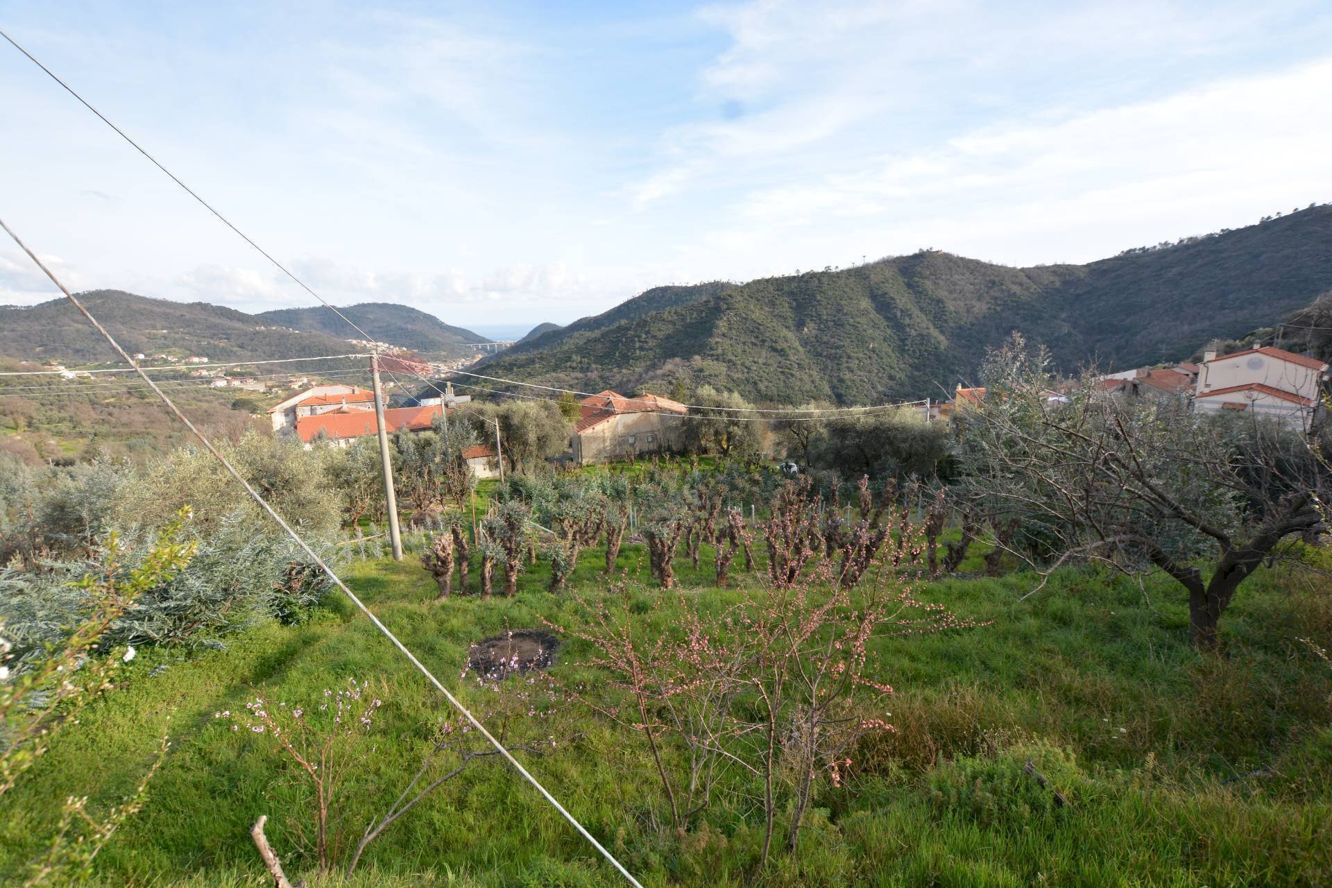Vista delle montagne - Rustico Magliolo - foto 2