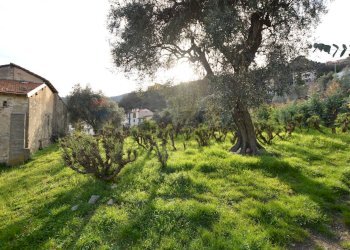 Giardino - Rustico Magliolo - foto 43
