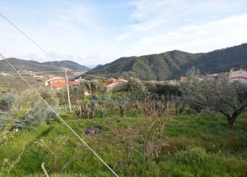 Vista delle montagne - Rustico Magliolo - foto 44