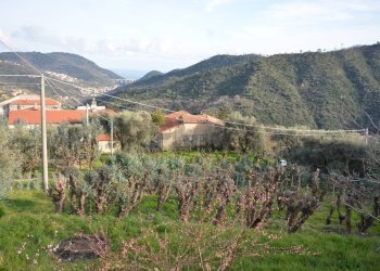 Vista delle montagne - Rustico Magliolo - foto 45