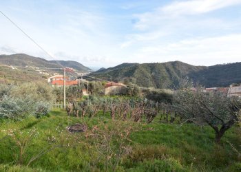 Vista delle montagne - Rustico Magliolo - foto 46