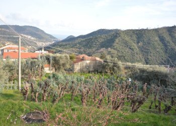 Vista delle montagne - Rustico Magliolo - foto 47