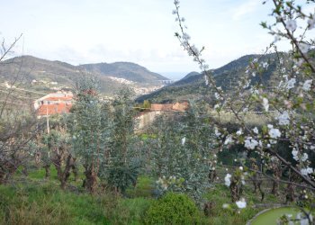 Vista delle montagne - Rustico Magliolo - foto 48