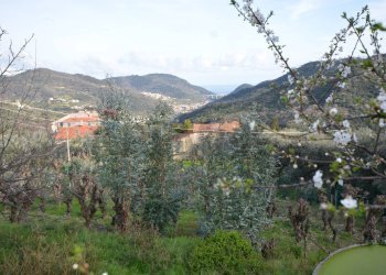 Vista delle montagne - Rustico Magliolo - foto 49