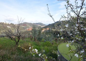 Vista delle montagne - Rustico Magliolo - foto 50