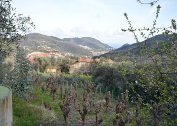 Vista delle montagne - Rustico Magliolo - foto 52