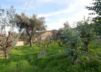 Giardino - Rustico Magliolo - foto 53