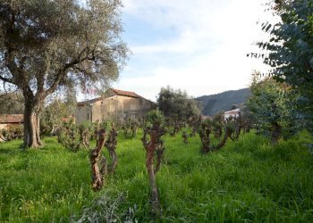 Giardino - Rustico Magliolo - foto 54