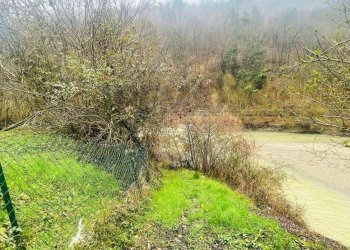 Giardino - Casa semi indipendente Millesimo - foto 27