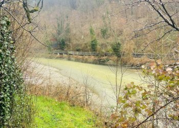 Vista delle montagne - Casa semi indipendente Millesimo - foto 29