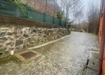 Giardino - Casa semi indipendente Millesimo - foto 30