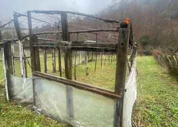 Casa all\'aperto - Casa semi indipendente Millesimo - foto 31