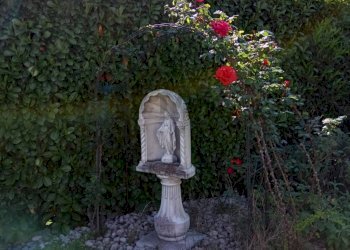 Giardino - Casa indipendente Castelfranco Veneto - foto 22