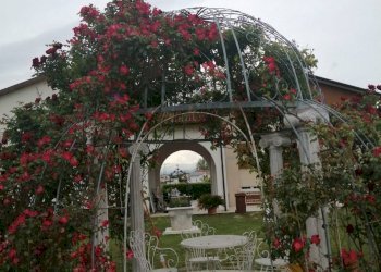 Giardino - Casa indipendente Castelfranco Veneto - foto 23