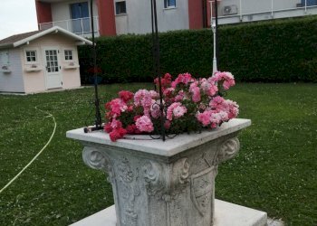 Giardino - Casa indipendente Castelfranco Veneto - foto 24