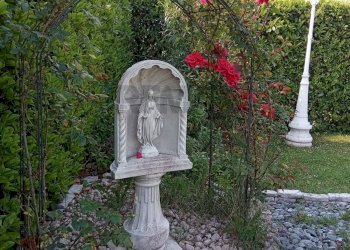 Giardino - Casa indipendente Castelfranco Veneto - foto 25