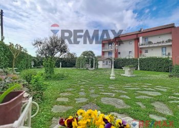 Giardino - Casa indipendente Castelfranco Veneto - foto 4