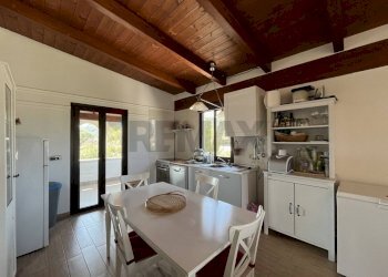 cucina - Appartamento Località Palude Mezzane
 
SNC, Vieste - foto 5