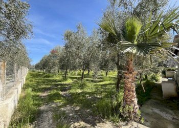 terreno - Appartamento Località Palude Mezzane
 
SNC, Vieste - foto 11