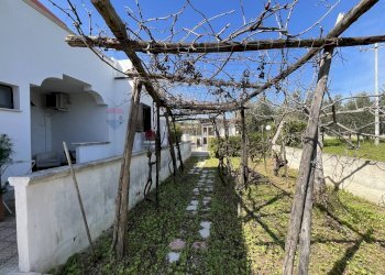 esterno - Appartamento Località Palude Mezzane
 
SNC, Vieste - foto 16