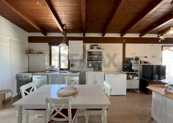 cucina - Appartamento Località Palude Mezzane
 
SNC, Vieste - foto 17