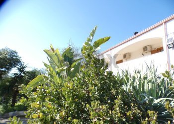 esterno - Casa semi indipendente Località Macchia di Mauro
 
16, Vieste - foto 5