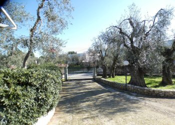 esterno - Casa semi indipendente Località Macchia di Mauro
 
16, Vieste - foto 6