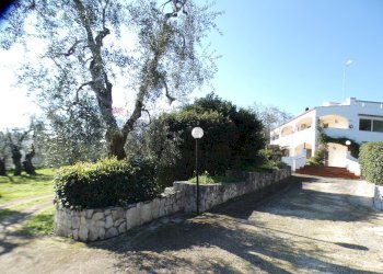 esterno - Casa semi indipendente Località Macchia di Mauro
 
16, Vieste - foto 7