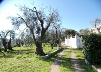 esterno - Casa semi indipendente Località Macchia di Mauro
 
16, Vieste - foto 8