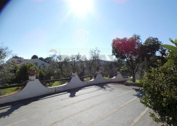 esterno - Casa semi indipendente Località Macchia di Mauro
 
16, Vieste - foto 10