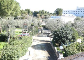 giardino esterno - Casa semi indipendente Località Macchia di Mauro
 
16, Vieste - foto 26