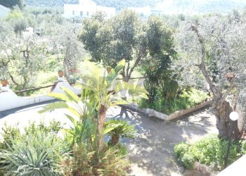 giardino esterno - Casa semi indipendente Località Macchia di Mauro
 
16, Vieste - foto 27