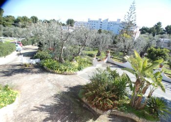 giardino esterno - Casa semi indipendente Località Macchia di Mauro
 
16, Vieste - foto 28