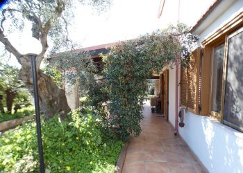 esterno - Casa semi indipendente Località Macchia di Mauro
 
16, Vieste - foto 29