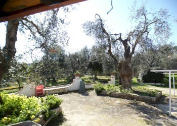 esterno - Casa semi indipendente Località Macchia di Mauro
 
16, Vieste - foto 33