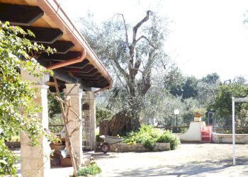 esterno - Casa semi indipendente Località Macchia di Mauro
 
16, Vieste - foto 35