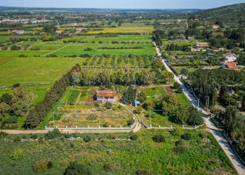 Vista delle montagne - Casa indipendente Regione Brunestica
 
S.N.C., Olmedo - foto 2