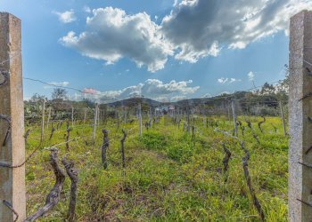 Vista delle montagne - Casa indipendente Regione Brunestica
 
S.N.C., Olmedo - foto 7
