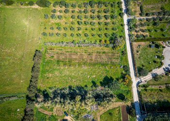 Non correlato - Casa indipendente Regione Brunestica
 
S.N.C., Olmedo - foto 8